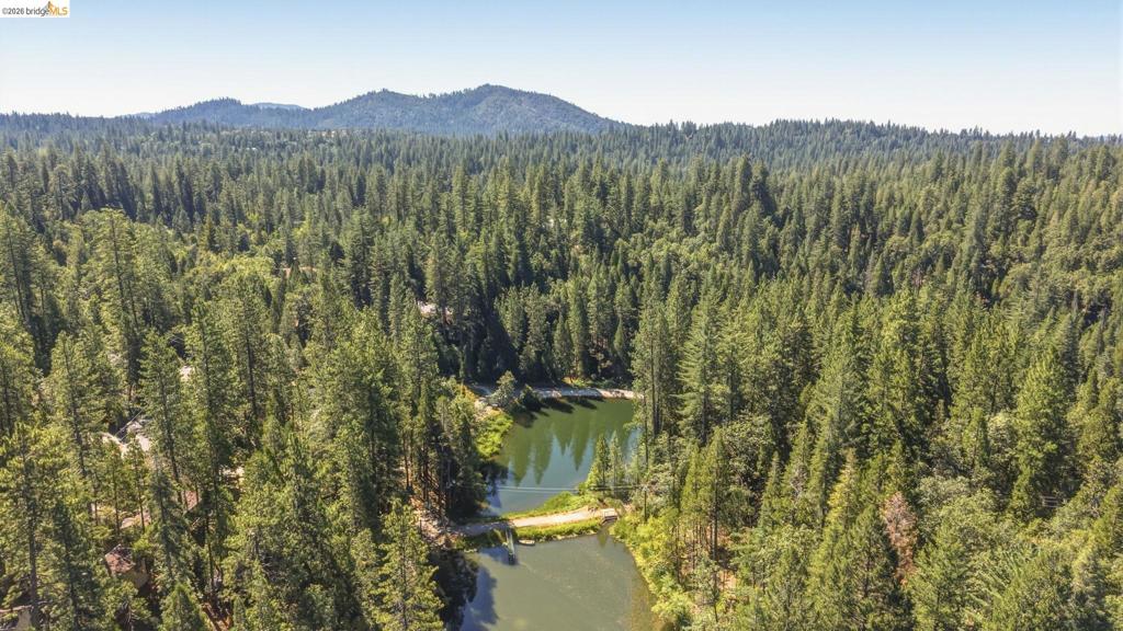 18515 Wildwood Dr, Twain Harte, CA 95383