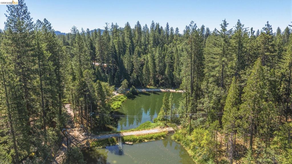 18515 Wildwood Dr, Twain Harte, CA 95383