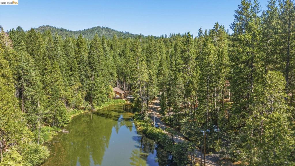 18515 Wildwood Dr, Twain Harte, CA 95383