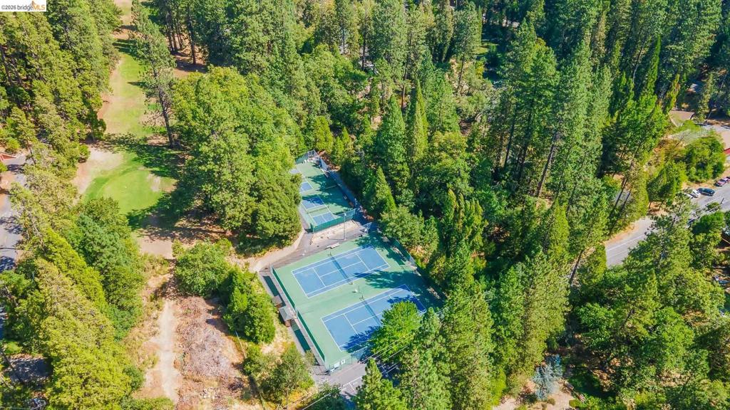 18515 Wildwood Dr, Twain Harte, CA 95383