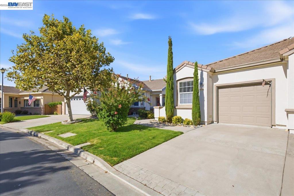288 Black Amber Way, Brentwood (CC), CA 94513