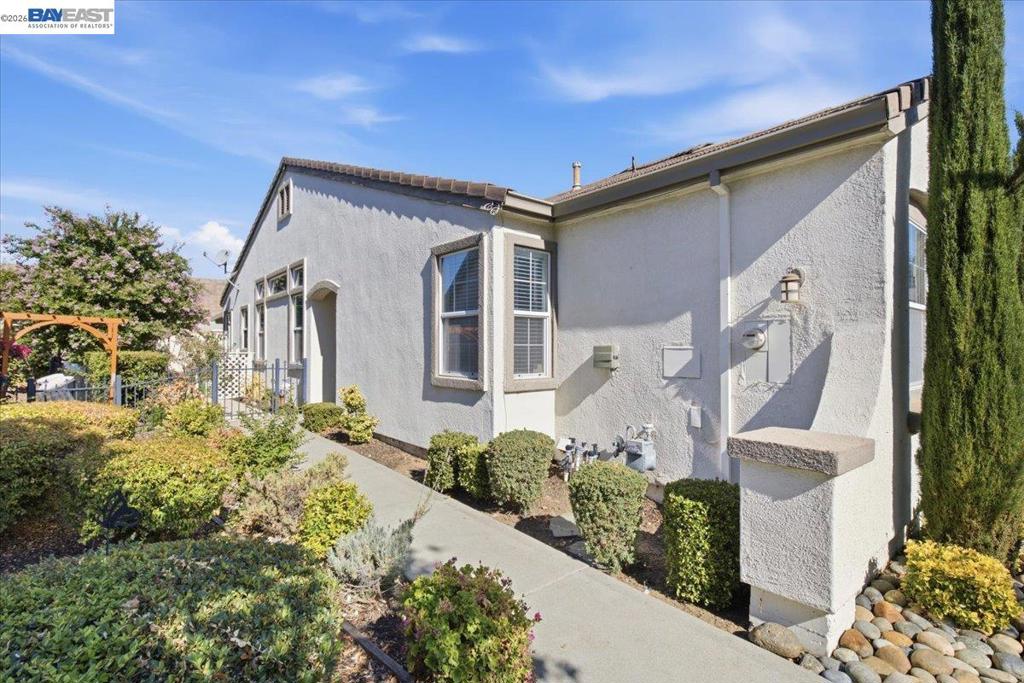 288 Black Amber Way, Brentwood (CC), CA 94513