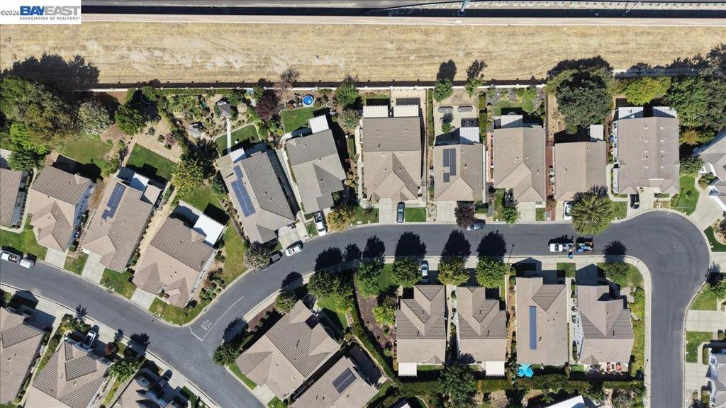 288 Black Amber Way, Brentwood (CC), CA 94513