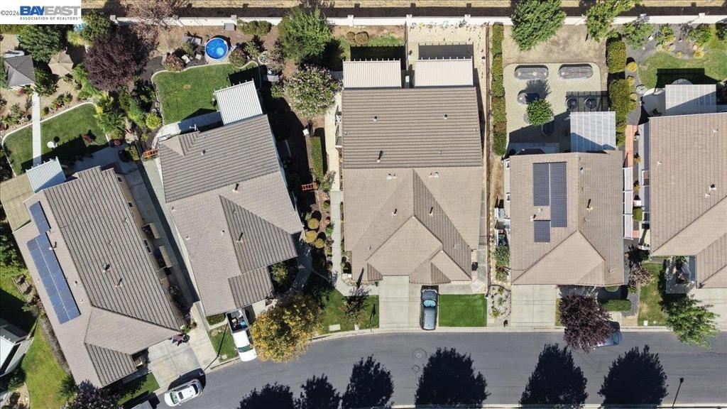288 Black Amber Way, Brentwood (CC), CA 94513
