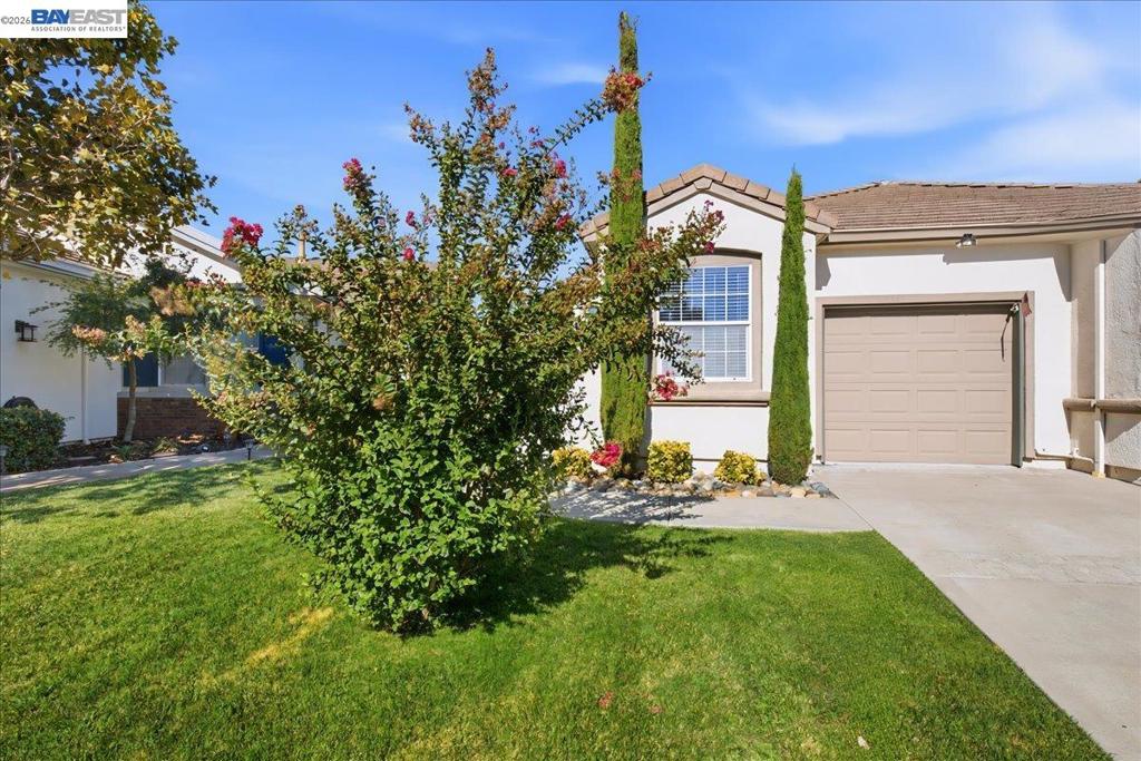 288 Black Amber Way, Brentwood (CC), CA 94513