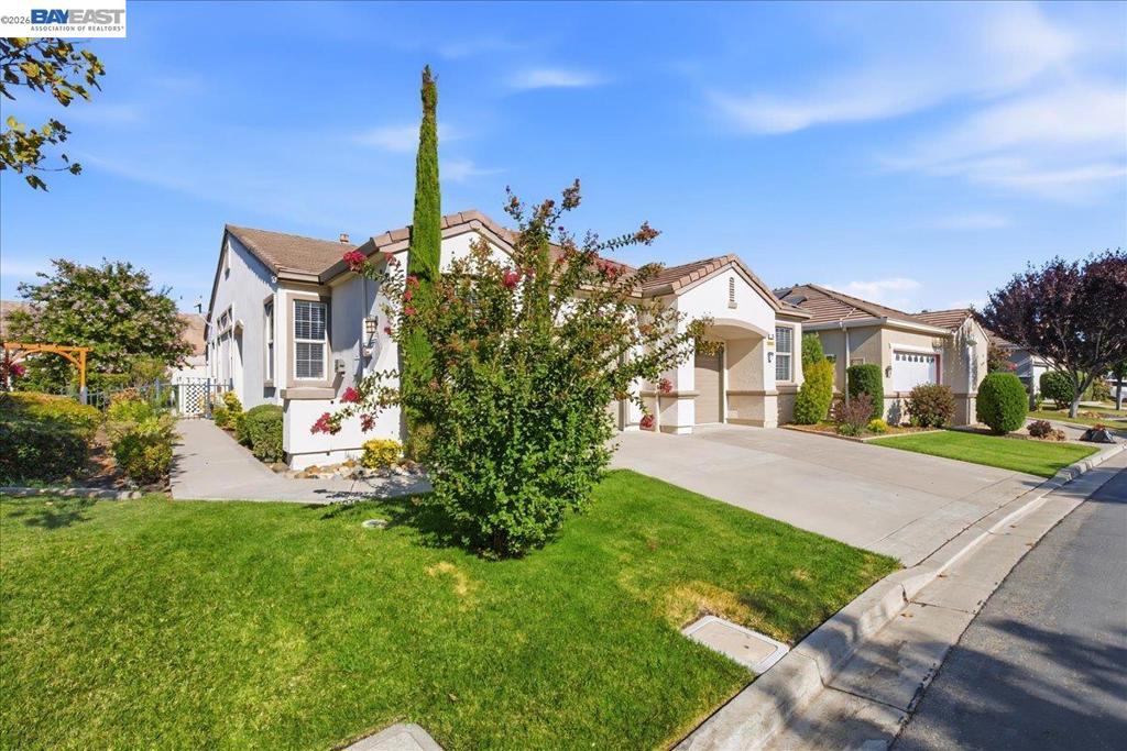 288 Black Amber Way, Brentwood (CC), CA 94513