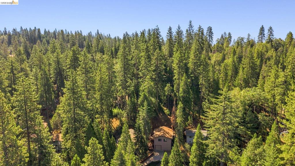 22435 Ponderosa Dr., Twain Harte, CA 95383