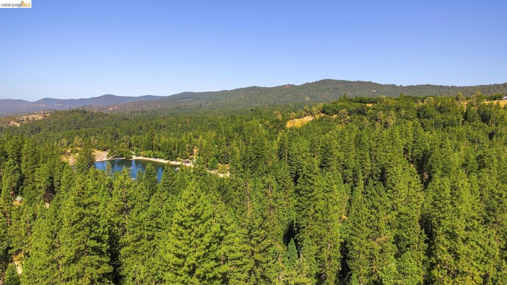 22435 Ponderosa Dr., Twain Harte, CA 95383