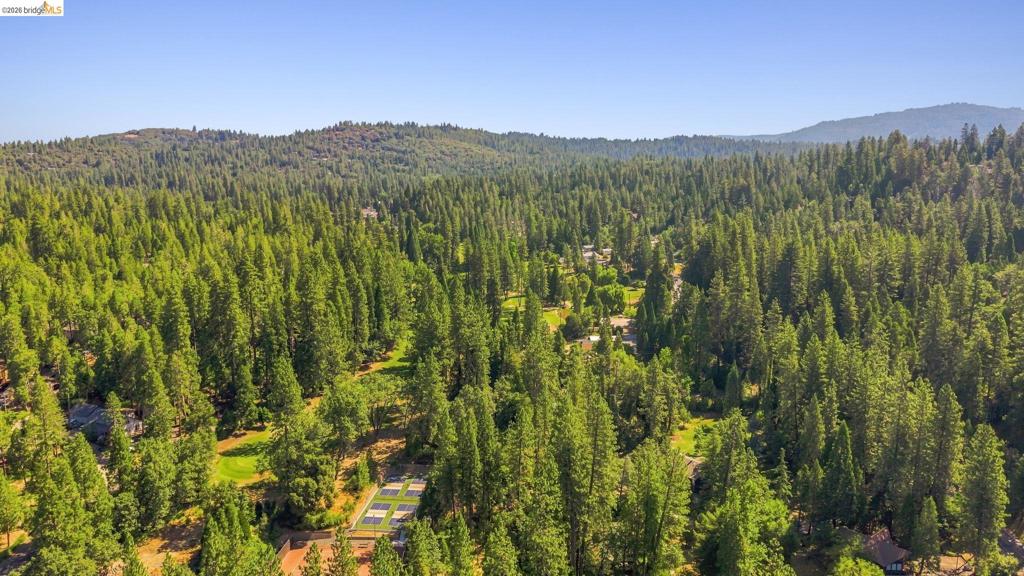 22435 Ponderosa Dr., Twain Harte, CA 95383