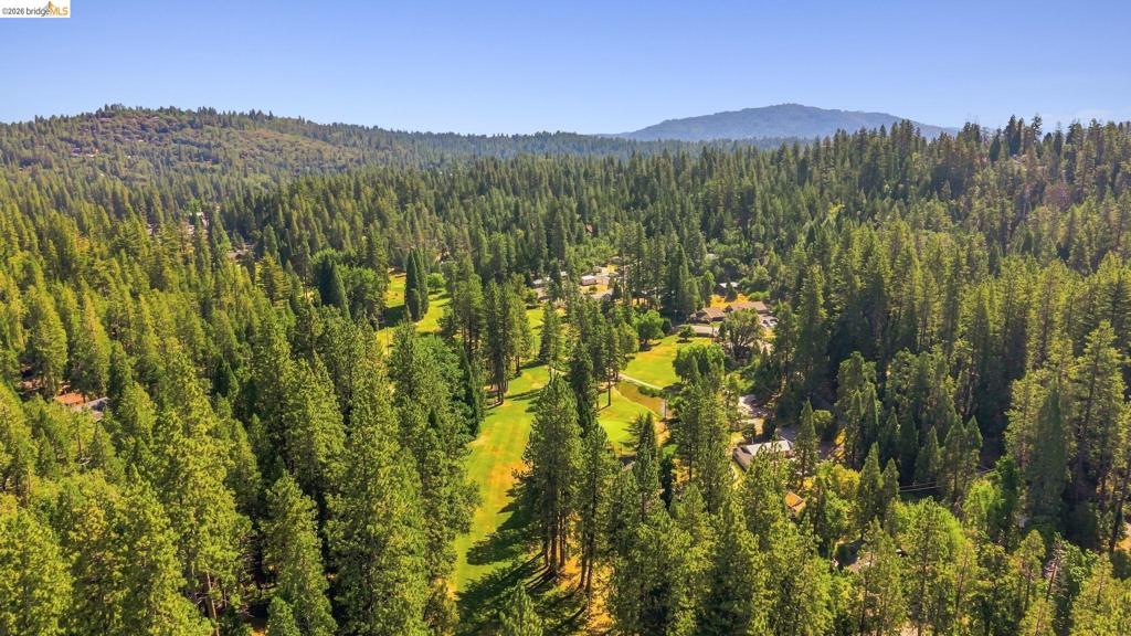 22435 Ponderosa Dr., Twain Harte, CA 95383