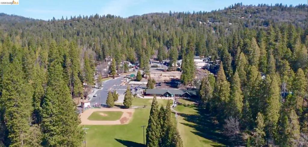 22435 Ponderosa Dr., Twain Harte, CA 95383