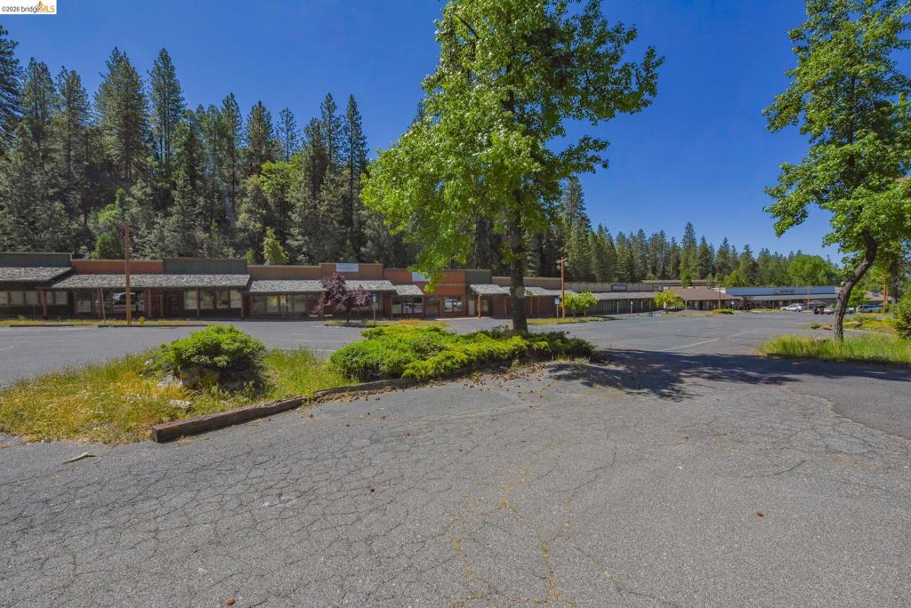 22930 Twain Harte Drive, Twain Harte, CA 95383