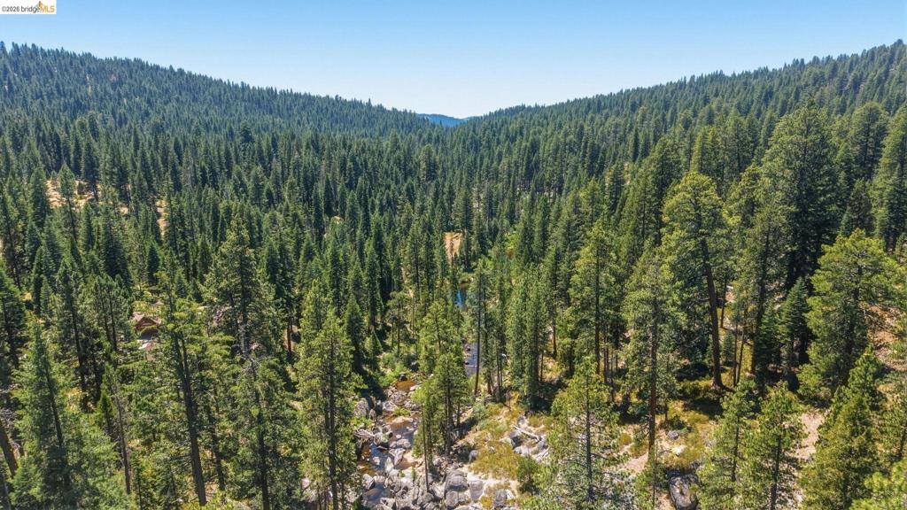 31500 Old Strawberry Rd, Strawberry, CA 95364