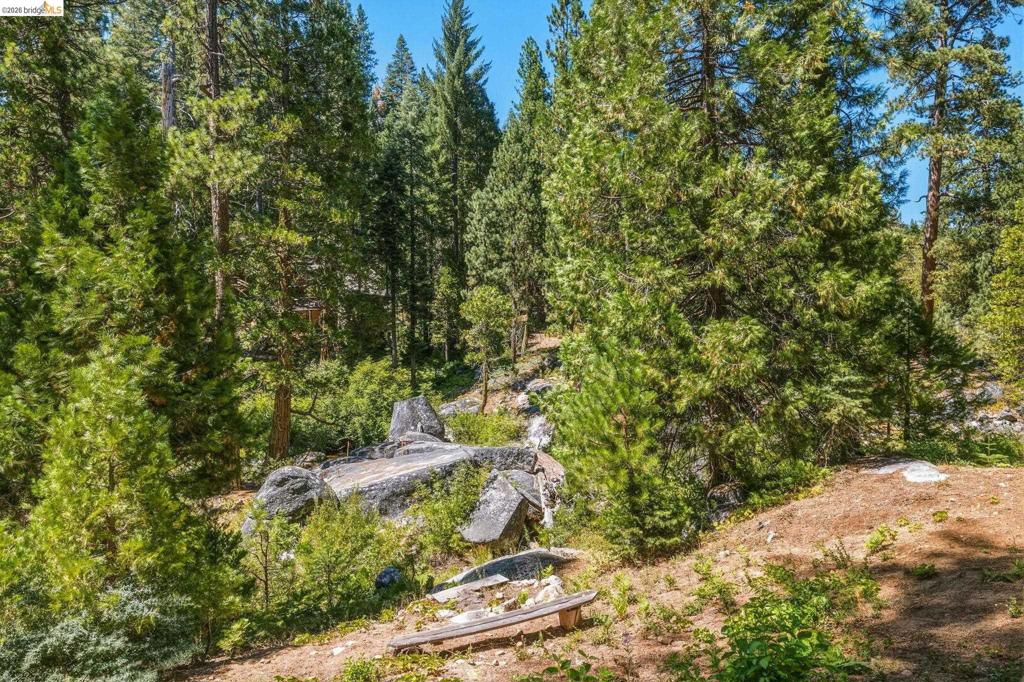 31500 Old Strawberry Rd, Strawberry, CA 95364