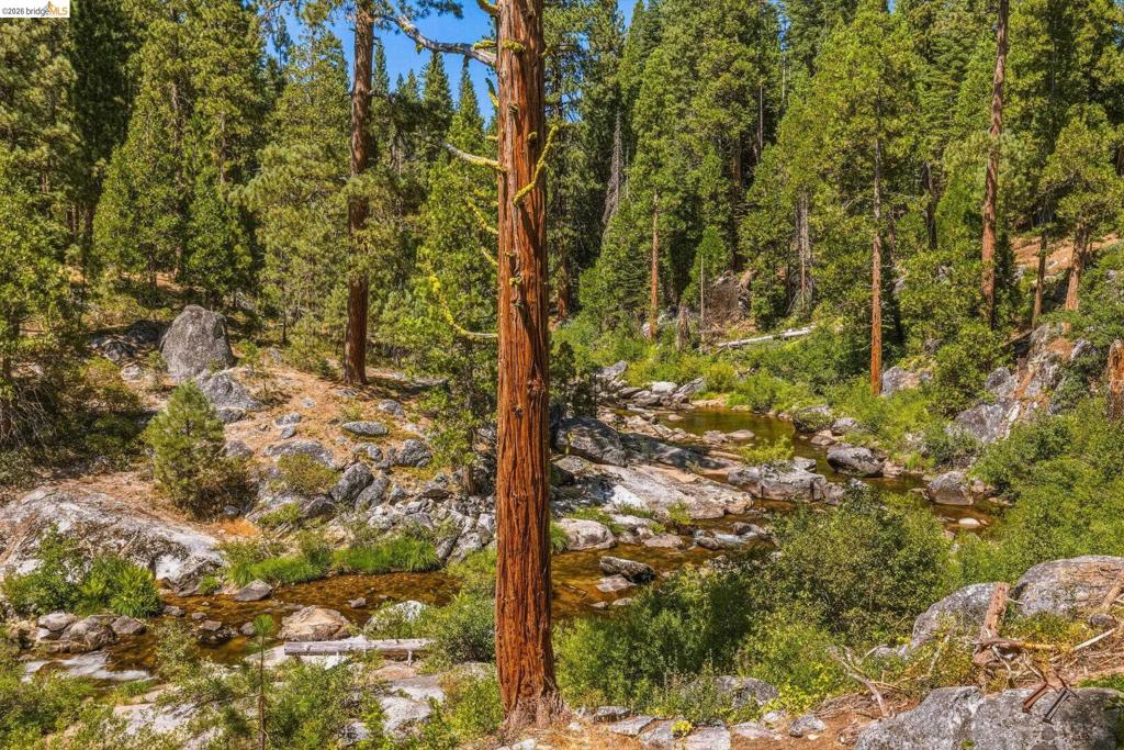 31500 Old Strawberry Rd, Strawberry, CA 95364