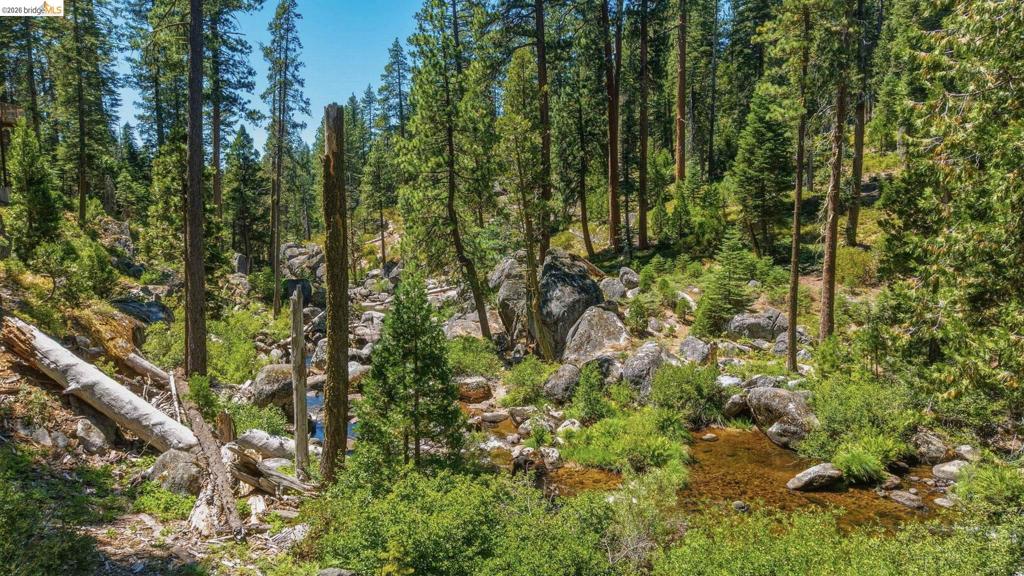31500 Old Strawberry Rd, Strawberry, CA 95364