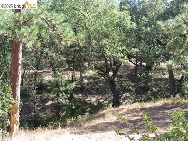 17375 Star Ridge Rd., Twain Harte, CA 95383