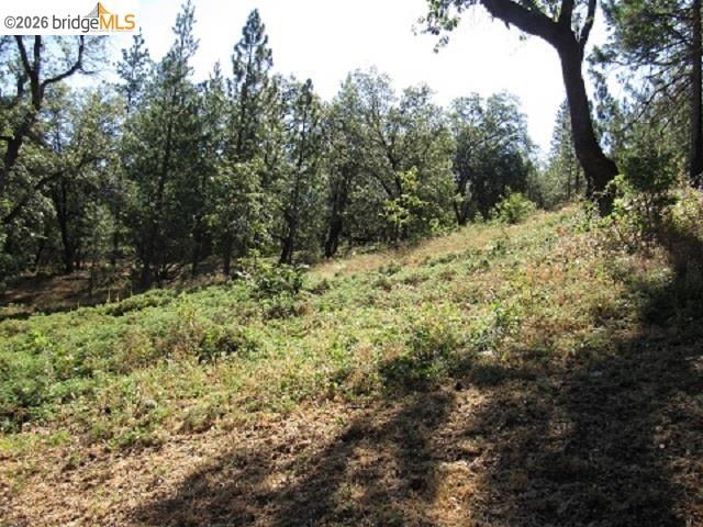 17375 Star Ridge Rd., Twain Harte, CA 95383