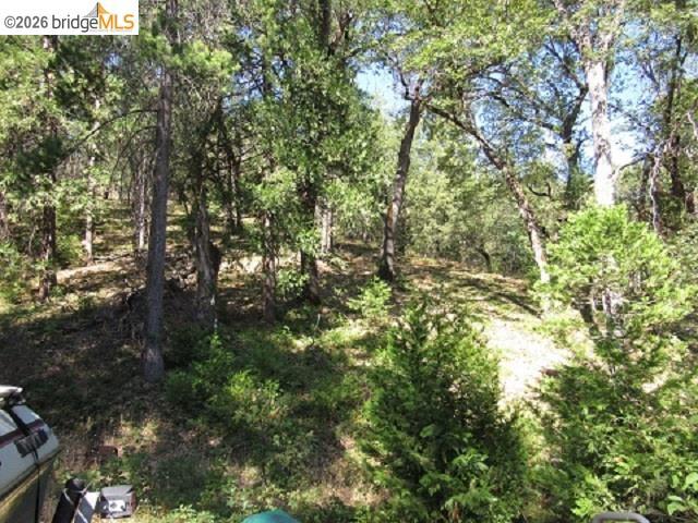 17375 Star Ridge Rd., Twain Harte, CA 95383