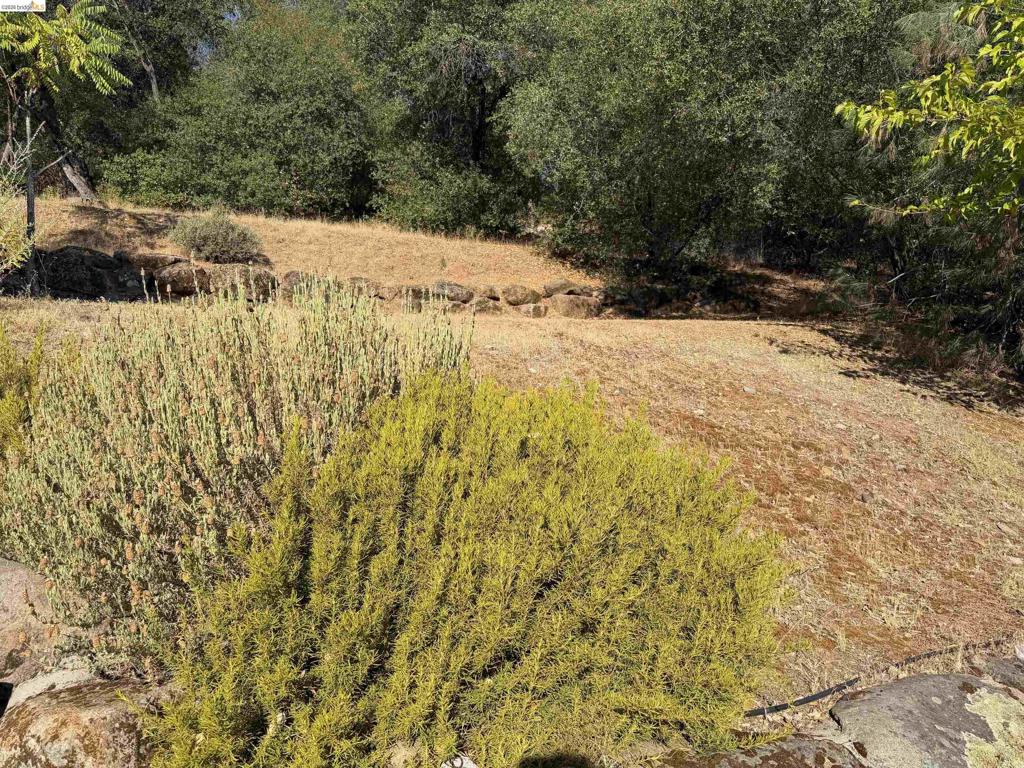 21010 Lancaster Ct, Sonora, CA 95370
