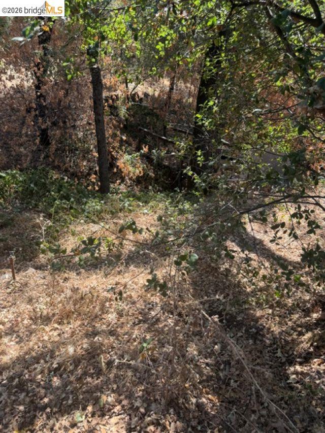 19909 Mono Way, Sonora, CA 95370