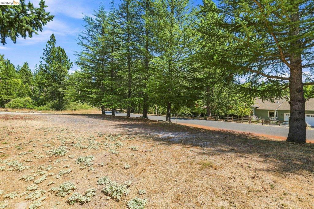 17202 Suez Canal Dr, Sonora, CA 95370