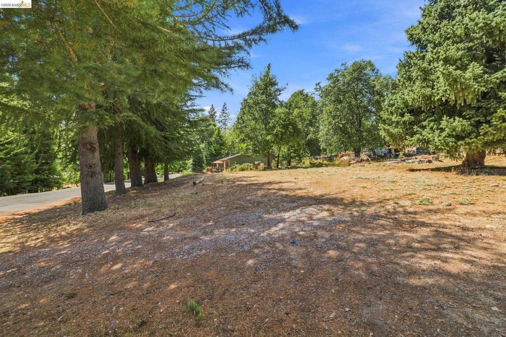 17202 Suez Canal Dr, Sonora, CA 95370