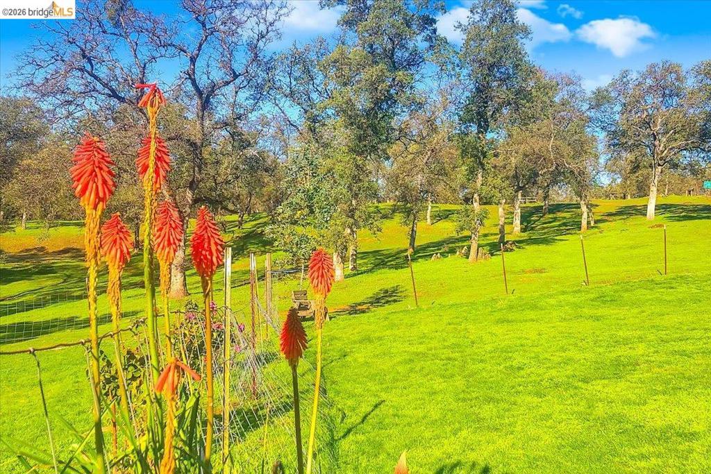 14450 Jacksonville Rd., Jamestown, CA 95327
