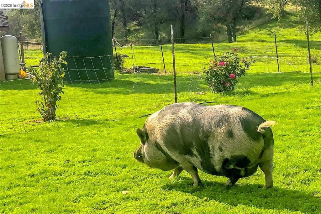 14450 Jacksonville Rd., Jamestown, CA 95327