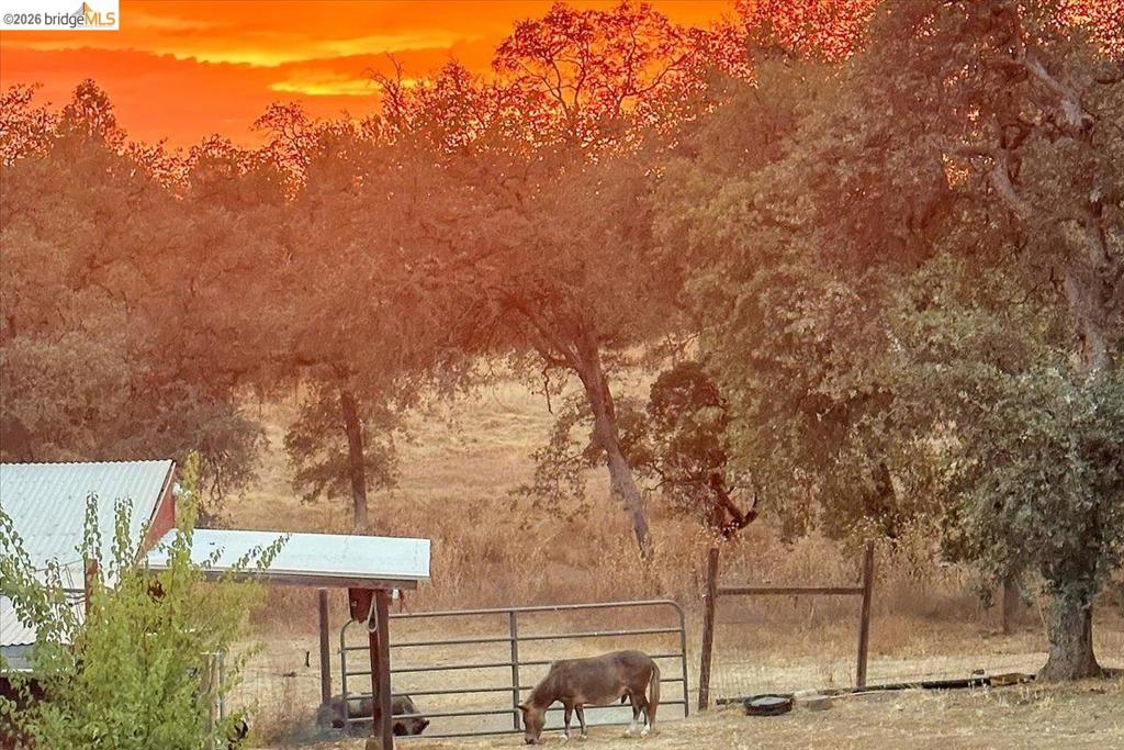 14450 Jacksonville Rd., Jamestown, CA 95327