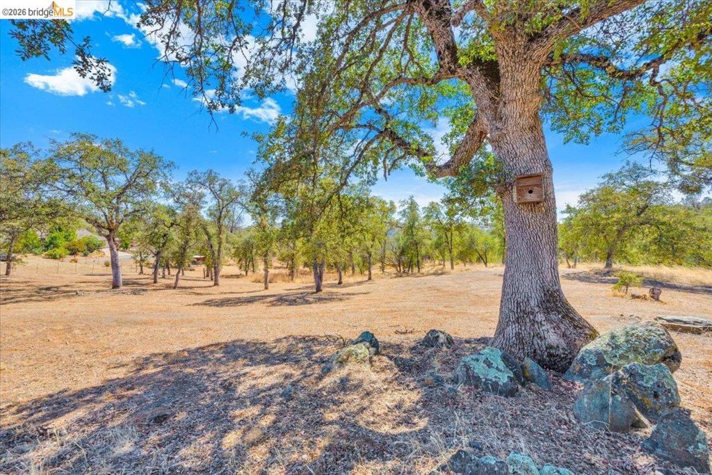 14450 Jacksonville Rd., Jamestown, CA 95327