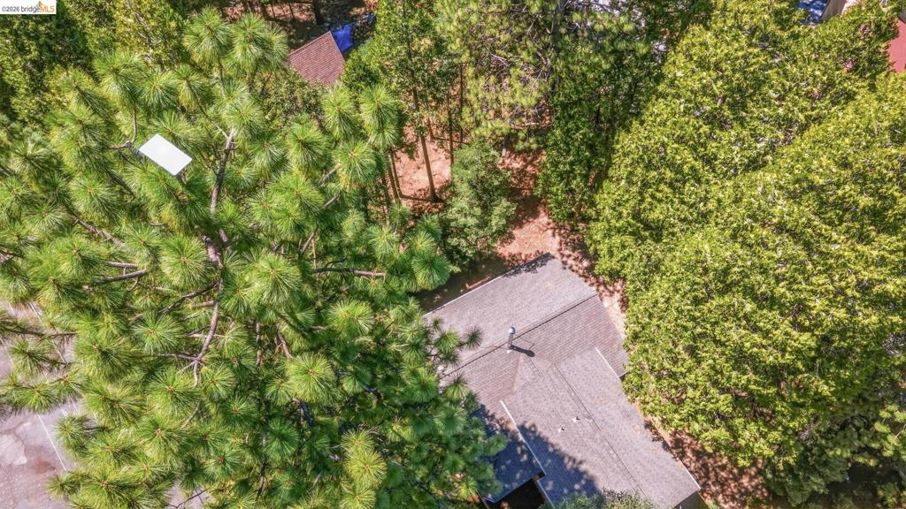 29576 Lassen Dr, Cold Springs, CA 95335-0000