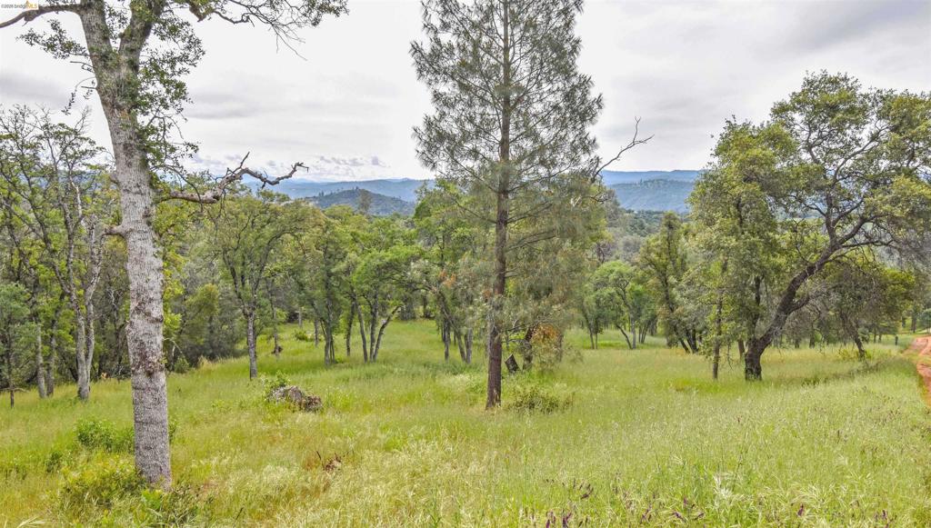 17270 Robin Ridge, Sonora, CA 95370
