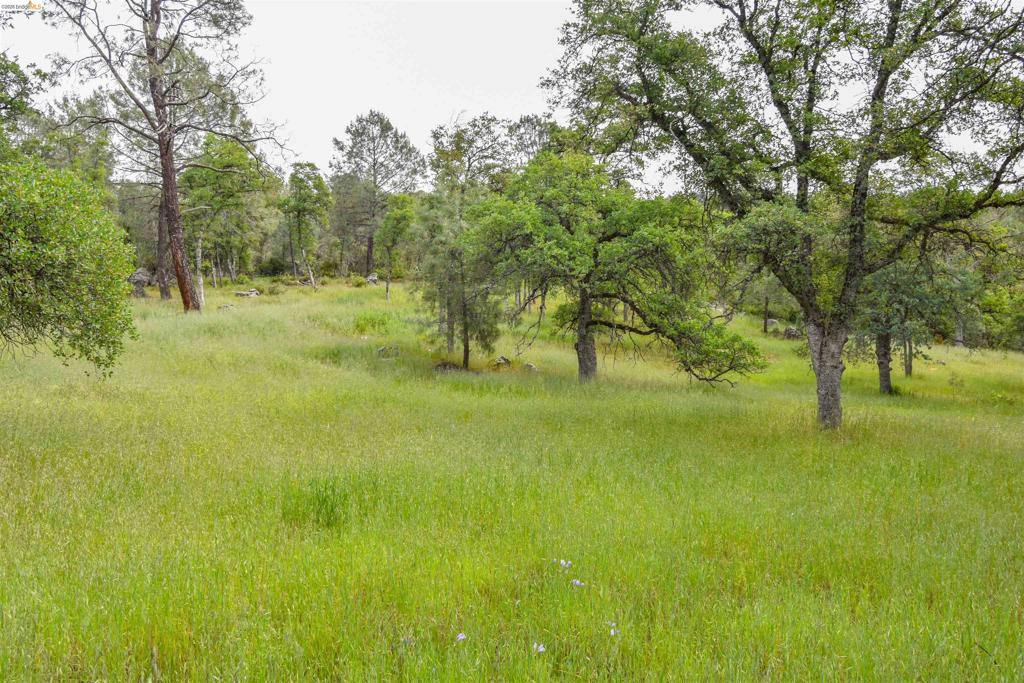 17270 Robin Ridge, Sonora, CA 95370