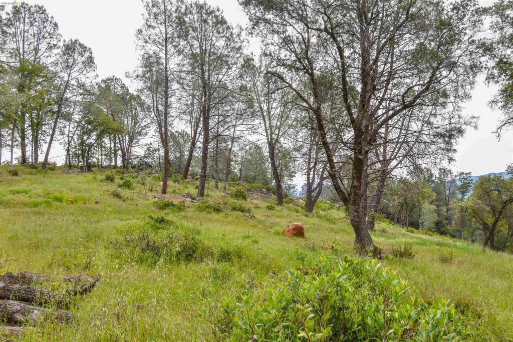 17270 Robin Ridge, Sonora, CA 95370