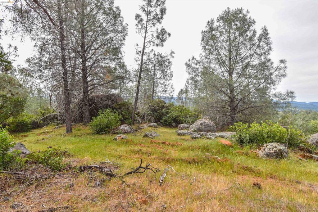 17270 Robin Ridge, Sonora, CA 95370