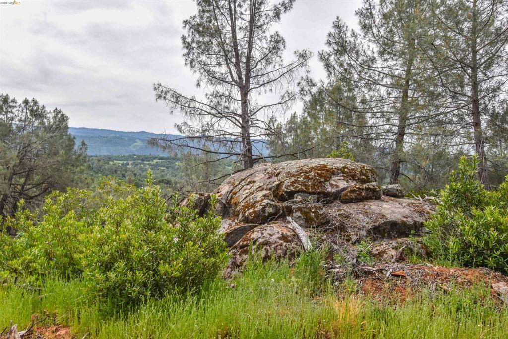 17270 Robin Ridge, Sonora, CA 95370