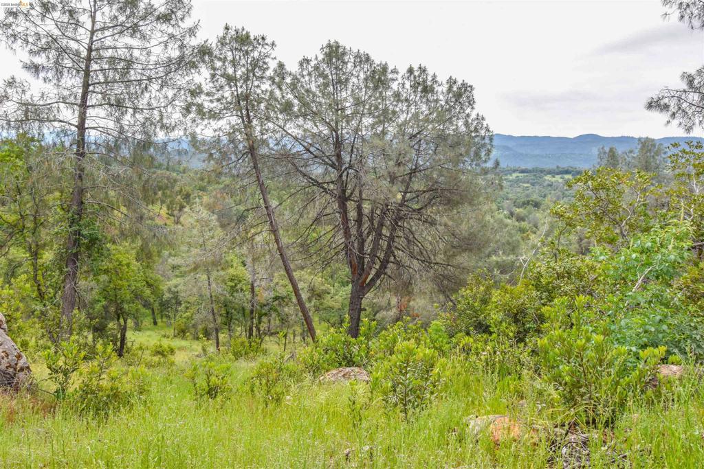 17270 Robin Ridge, Sonora, CA 95370