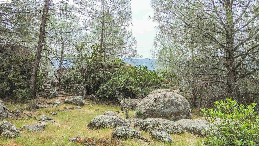 17270 Robin Ridge, Sonora, CA 95370