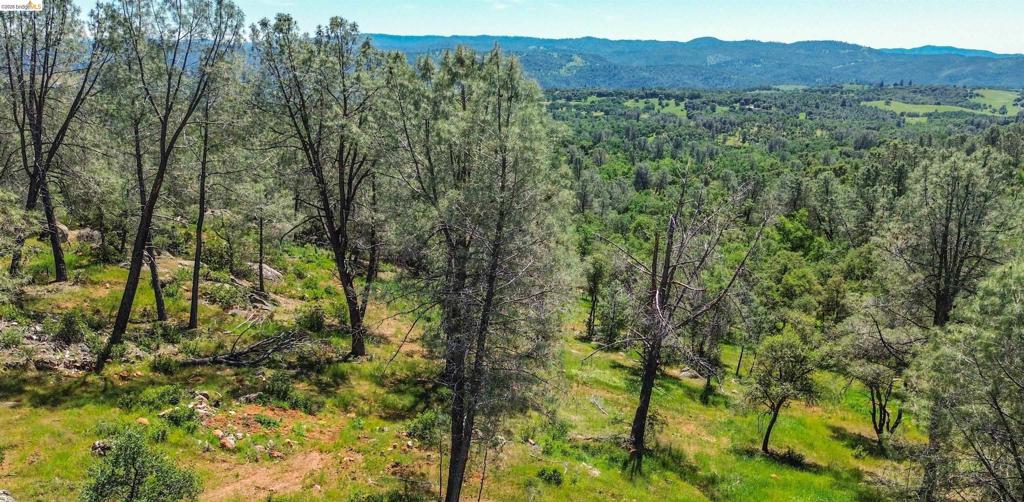 17270 Robin Ridge, Sonora, CA 95370