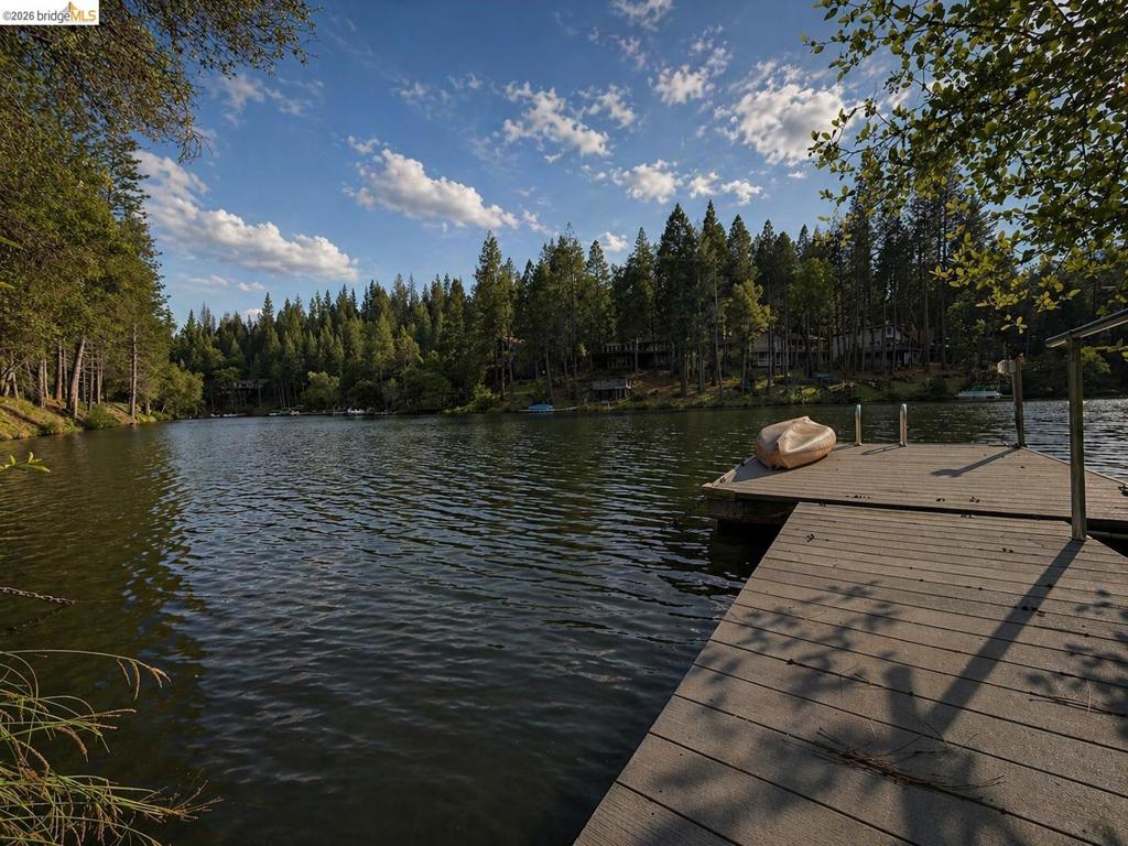 20162 Pine Mountain Dr, Groveland, CA 95321