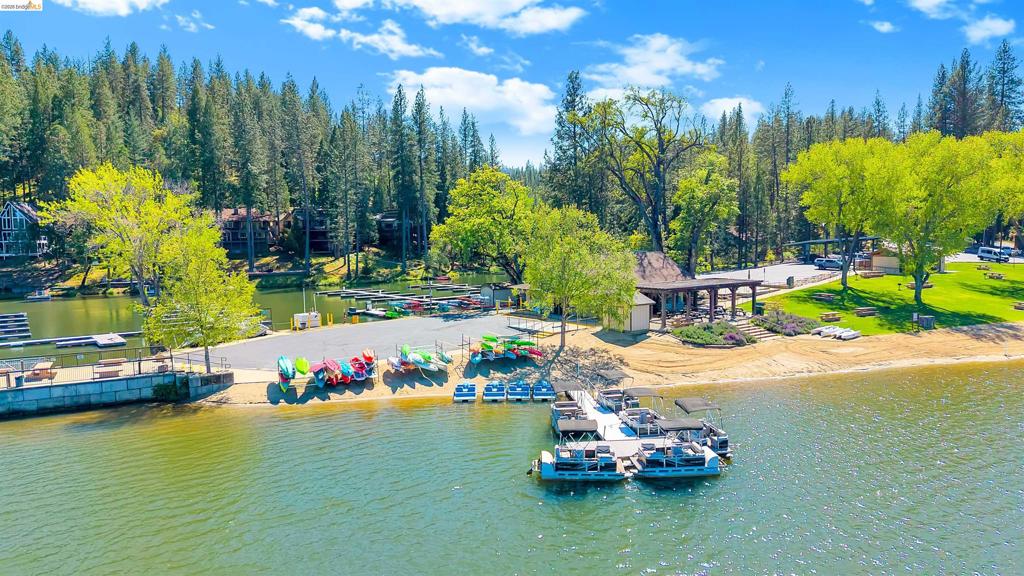 20162 Pine Mountain Dr, Groveland, CA 95321