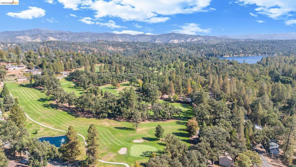 20162 Pine Mountain Dr, Groveland, CA 95321