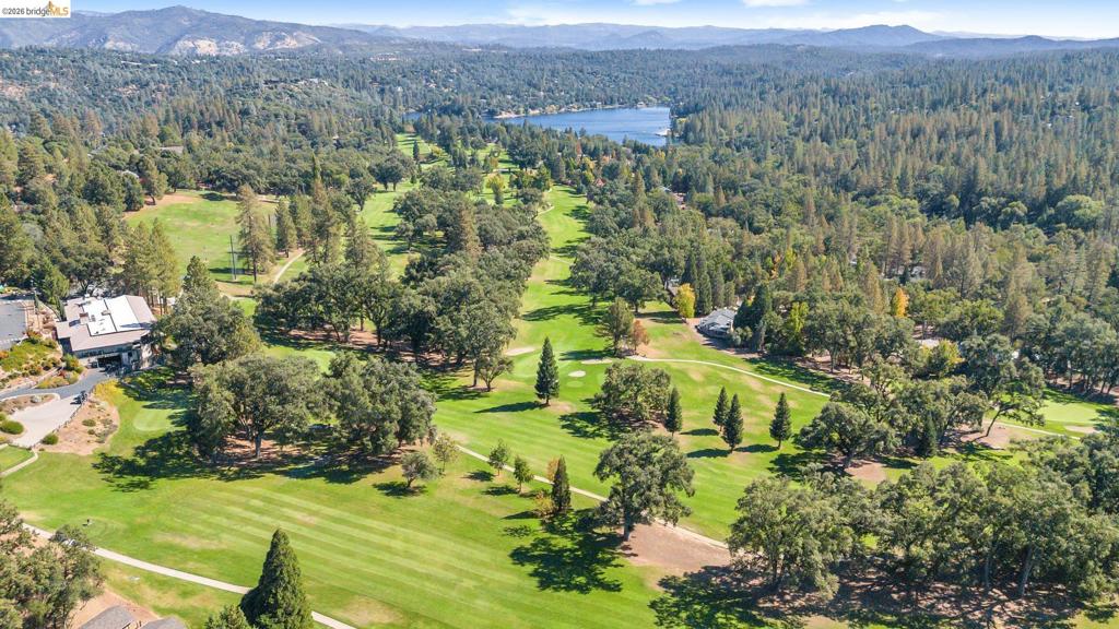 20162 Pine Mountain Dr, Groveland, CA 95321