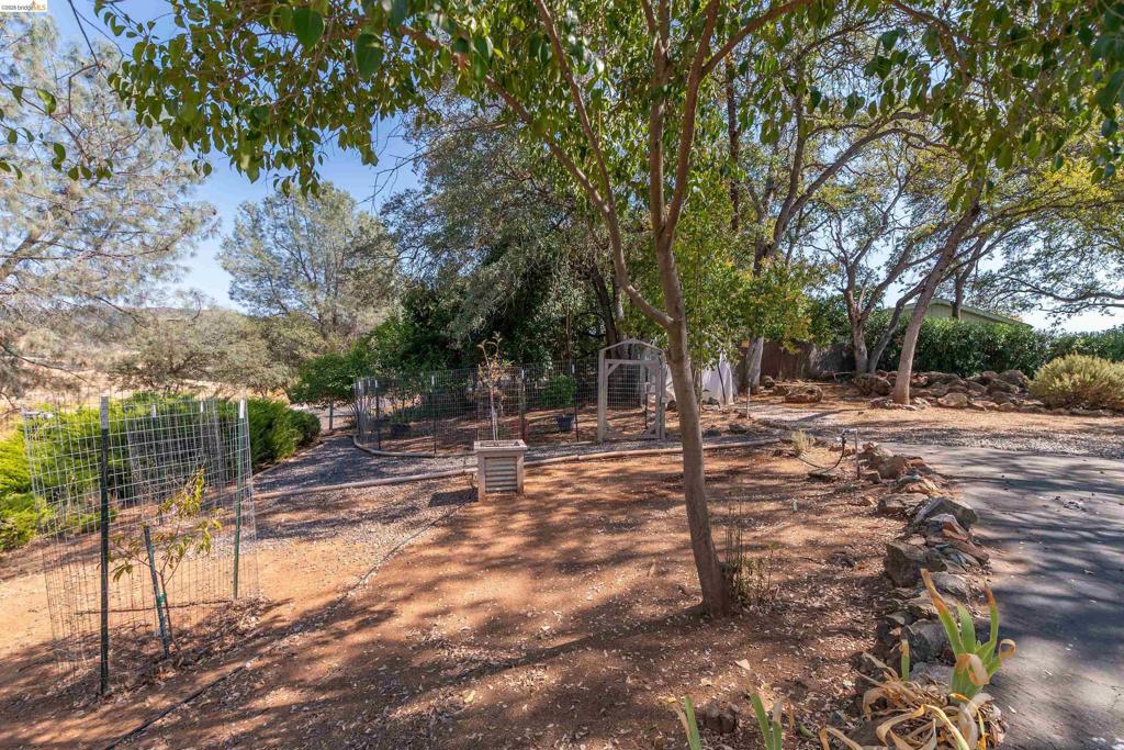 8400 Old Melones Rd. #83, Jamestown, CA 95327