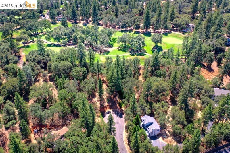 12950 DeFarrari Court, Groveland, CA 95321-9999