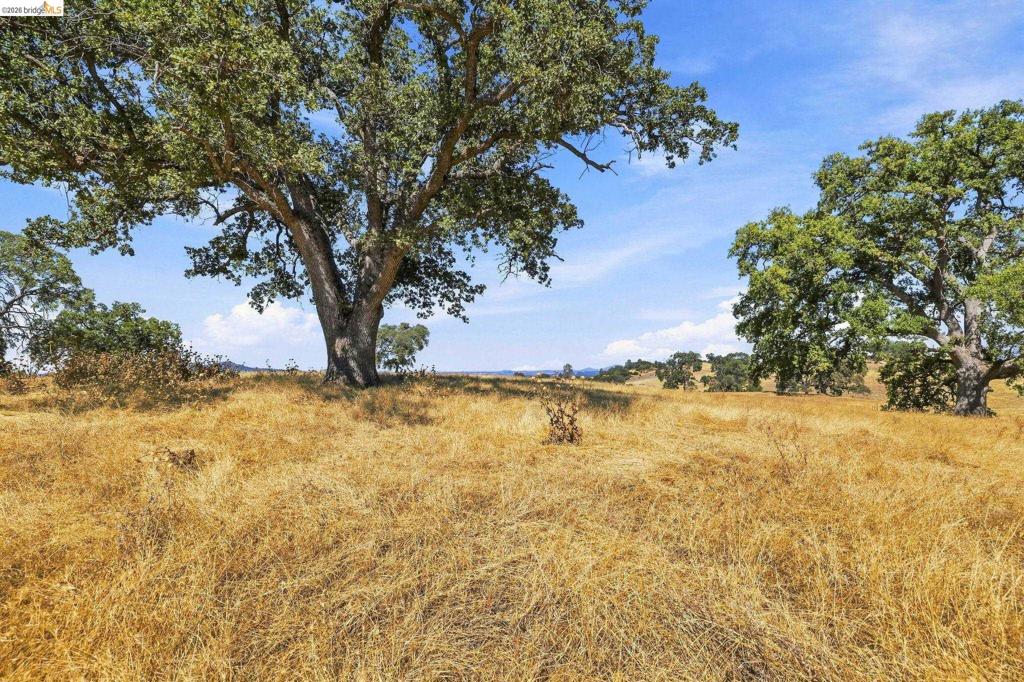 15355 Wards Ferry Rd, Sonora, CA 95370