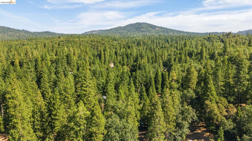 22501 W Rhine River Dr, Sonora, CA 95370