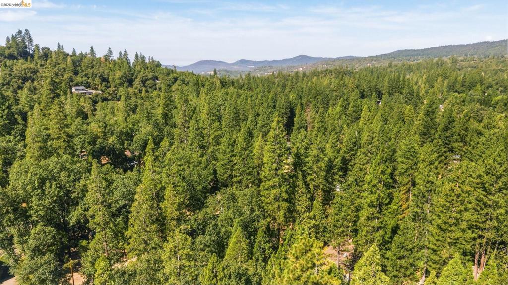 22501 W Rhine River Dr, Sonora, CA 95370