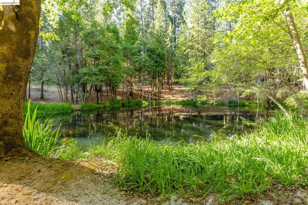 22460 Longeway Rd, Sonora, CA 95370